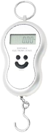 Qtqgoitem Portable Hanging Digital Scale - Silver