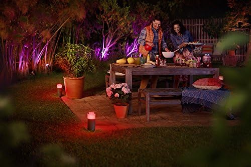 Philips Hue Calla Pathway Light Base Kit Hub Required