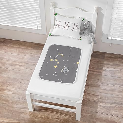 WenBags Reusable Waterproof Bed Pads 19x27