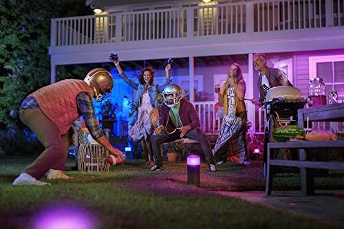 Philips Hue Calla Pathway Light Base Kit Hub Required