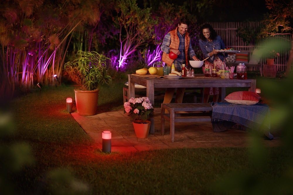 Philips Hue Calla Pathway Light Base Kit Hub Required