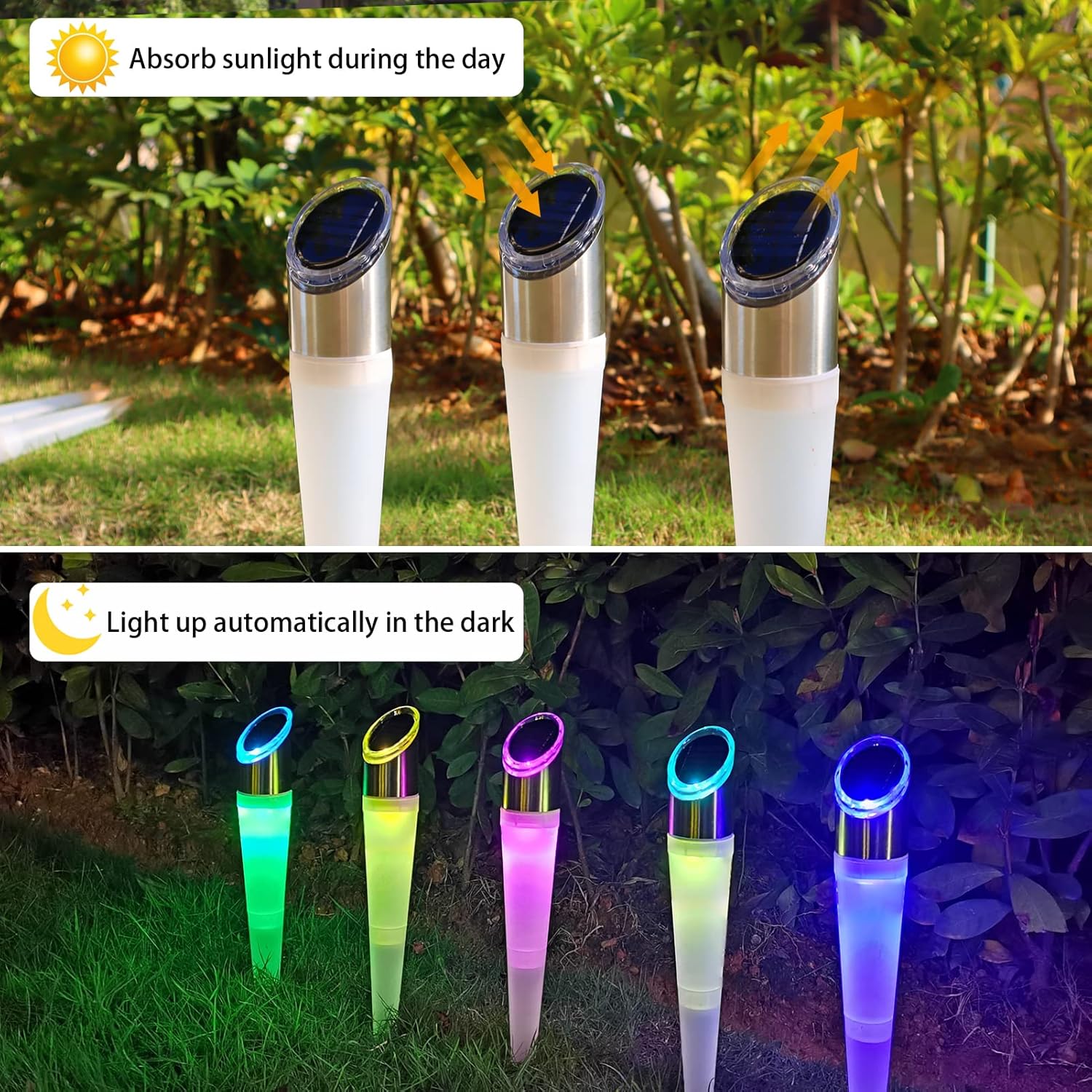 Pearlstar 6 Pack Solar Pathway Lights